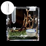 AUsagg S/M/L Spinne Reptilien Terrarium Acryl Reptilien Zuchtbox Terrarium Zubehör Tarantel für Spinne Insekten Schnecke Box Cricket