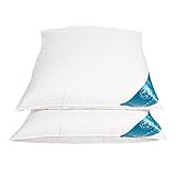 Sandaro Home Kopfkissen 80x80 Daunen-Federnkissen 2er Set, 80 x 80 cm 3 Kammern (1600gramm),100% Naturprodukt in reinem Baumwollbezug, Ultra Comfort Sleeping Pillow