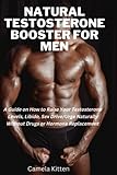 NATURAL TESTOSTERONE BOOSTER FOR MEN: A Guide on How to Raise Your Testosterone Levels, Libido, Sex Drive/Urge Naturally Without Drugs or Hormone Replacement