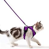 Katzengeschirr mit Leine Softgeschirr für Katze kleine Kitten Brustgeschirr Cat Harness Ausbruchsicher Katzenleine Set Verstellbar weich Kätzchenweste mit Reflektierenden (Lila, XS)