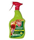 PROTECT GARDEN Lizetan Plus Schädlingsfrei AF gegen Schädlinge an Zierpflanzen, Rosen Obst und Gemüse, 800 ml Spray