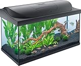 Tetra Starter Line LED 105 L Aquarium