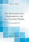 Die Koniferen des Oberkarbons und des Unteren Perms, Vol. 3: Mit Tafel LXXV-CX (Classic Reprint)