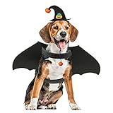 POPETPOP Hundefledermaus Kostüm Hund Fledermausflügel Hexenhut mit Kürbisglocke Halloween Kostüm Hund Katze