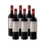 Doppio Passo Primitivo Puglia, Rotwein Italien (6 x 0,75l)