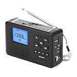 SANSHAN Tragbares Mini-DAB/UKW-Radio Solar-Handkurbelradio Bluetooth-Lautsprecher Notfallradio mit Taschenlampe-B