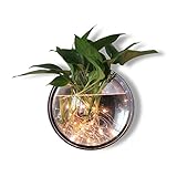 KIZQYN Hängende Pflanzgefäße Wandbehangpflanzer Pflanzentöpfe Wasserpflanze Container Blumentöpfe Blumenvasen mit LED for Home Office Table Hängende Blumenampel (Size : 1)