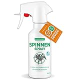 Silberkraft Anti Spinnen-Spray 250 ml, Spinnenabwehr Zitroneneukalyptus zur Vertreibung von Spinnen, Anti-Spinnen-Mittel, Sofort- und Langzeitwirkung, Alternative zu Spinnengift und Spinnenköder