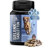 Tierkraft Gelenktabletten für Hunde - Made in Germany - Gelenktabletten Hund mit Grünlippmuschel - Teufelskralle Hund - MSM Hund & Grünlippmuschel Hund - 100 Gelenk- & Knochenschutz Tabletten