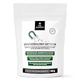 FIVE ELEMENTS Montmorillonit-Aktivton | 500 g | 2 in 1 | natürliche Teichpflege und Klärung | Gesundheits-Unterstützung für Koi und Teichfische