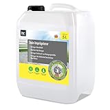 4 x 5 L Höfer Chemie® Steinimprägnierung + Wasser- und schmutzabweisend, Schützender Abperleffekt, Lösemittelfrei