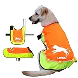 LaRoo Hunderegenmantel, Leuchtendes LED Wasserdicht Winter Reflektierende Regenmantel für Hunde mit Bauchschutz,USB Wiederaufladbarem Sicherheitsweste für Kleine Grosse Hunde(M,Fluoreszierende Orange)