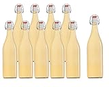 hocz 10er Set Bügelflaschen Bügelflasche Glasflaschen mit Bügelverschluss 1L 1000 ml Typ A zum Selbstbefüllen