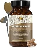 Neem Kurkuma Ingwer Kapseln Hochdosiert - Extrakt mit 95% Curcumin aus 2500% Curcuma Pulver plus Gingerol | 100% Vegan | Neembaum - Ayurveda Produkt – in Braunglas | Verbesserte Formel