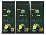 Lebensbaum Plantagen Kaffee, gemahlen, demeter, 3er Pack (3 x 250 g)