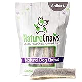 Nature Gnaws USA Elch-Geweih – 100% natürlich Kauen für Hunde, Elk Antler (1 Pack)