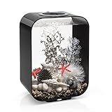 biOrb 72048 LIFE 15 LED schwarz - dekoratives 15 Liter Aquarium Komplett-Set mit Filtersystem, LED-Beleuchtung und Keramik-Bodengrund aus robustem Acryl-Glas