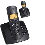 Swissvoice Aeris 134T Duo - Schnurloses Analog-Telefon (DECT) mit Anrufbeantworter und einem zusätzlichem Mobiltelefon