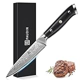 PAUDIN Damastmesser 13 cm Allzweckmesser Chefmesser Kochmesser profi Küchenmesser scharfes Messer mit ergonomischem G10-Griff aus Damaststahl für Fisch Gemüse Obst Fleisch Brot Kuchen Käse