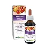 Camu-Camu (Myrciaria dubia) Früchte Alkoholfreier Urtinktur Naturalma | Reich an Vitamin C | Flüssig-Extrakt Tropfen 100 ml | Nahrungsergänzungsmittel | Veganer