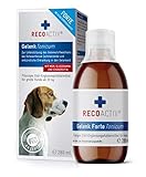 RECOACTIV Gelenk Tonicum Forte für Hunde, 1 x 280 ml, Diät-Ergänzungsfuttermittel bei degenerativen Gelenkerkrankungen, mit Grünlippmuschel, Glucosamin, Chondroitinsulfat, MSM, Teufelskralle & Omega-3