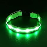 LED-Hundehalsband, USB Wiederaufladbar Wasserdicht Leuchtende Haustierhalsbänder, Reflektierende, Leuchtende, Blinkende Sicherheits-Welpenleine, Hundehalskette, Grün (M)