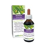 Rosenwurz (Rhodiola rosea oder Sedum roseum) Wurzeln Alkoholfreier Urtinktur Naturalma | Flüssig-Extrakt Tropfen 100 ml | Nahrungsergänzungsmittel | Veganer