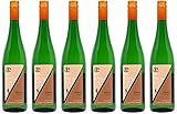 Christina Andrae Leichtgewicht Riesling 2021 Halbtrocken Ecovin Bio (6 x 0.75 l)