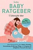 Großer Babyratgeber 1. Lebensjahr: Alles Wissenswerte über Geburt, Bonding, Entwicklung, Ernährung, Pflege und Umgang mit alltäglichen Herausforderungen - Kompakt