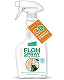 Silberkraft Flohspray, Umgebungsspray, Floh-Spray 12 x 500 ml - Flohspray für die Umgebung - ideales Anti-Floh-Mittel gegen Flöhe, Zecken, Parasiten