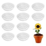 stillwen Untersetzer Blumentopf Kunststoff, 10 Pcs Rund Plastik Untersetzer 15cm (6 Zoll), Pflanzenuntersetzer Rund Transparent Mehrweg für Innen und Außenpflanzen Anzuchttöpfe Gartenpflanzen