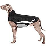 Buddypuppy Hundemantel Winter, Regenmantel Hund Wasserdicht, Fleece Hundejacke für Mittel Grosse Hund mit Geschirrloch & Reflexstreifen (XL)