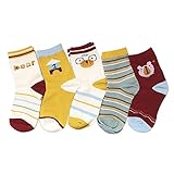 5 Paar Kindersocken mit bunten Tier- und Naturdesigns (4 Größen) - Socken Jungen - Socken Mädchen - Kindersocken Mädchen - Kindersocken Jungen - Strümpfe Kinder (S 1-3 Jahre )