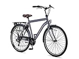 Altec Metro | 28 Zoll 56 cm Cityräder Stahlrahmen Aliminum Felgen Shimano 7 Gänge Fahrrad 7-Gang Citybike für Mädchen, Jungen, Herren und Damen City Bike