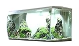 Fluval Flex Aquarium 123L, Süßwasser Aquarium, weiß