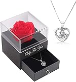 Handgefertigte konservierte Rosen schmuck-Geschenk Box mit Splitter Halskette für sie, Rosen Geschenke für Frauen für Valentinstag, Muttertag, Jahrestag, Geburtstag für Mutter, Schwester, Ehefrau