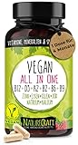 Vegan All-in-One - Vitamin B12+D3+K2+B2+B6+B9 Folsäure + Zink + Eisen + Selen + Natrium + Kalium + Jod - Komplex mit 120 Kapseln (4 Monats-Vorrat)