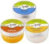 GREENDOOR Körperpeeling SET FRESH 840g, 3 frische Salz-Peelings zum SPARPREIS, sea salt scrub vegan, natürlich ohne Mikroplastik, Natur Duschpeeling ohne Konservierungsmittel, Naturkosmetik Geschenke