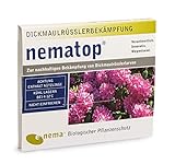 nematop® HB Nematoden zur Bekämpfung des Dickmaulrüsslers - 10 Mio. für 20m²