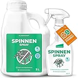 Silberkraft Anti Spinnen-Spray 2 L + Sprayflasche 500 ml - Spinnenabwehr - Zitroneneukalyptus zur Vertreibung von Spinnen - Anti-Spinnen-Mittel - Sofort- und Langzeitwirkung