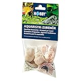 Hobby 40224 Sea Shells Set, L