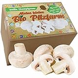 Bio Champignon Komplettset 5kg - Pilze selber züchten