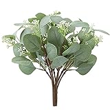 Famibay 18 PCS Künstlich Eukalyptus Zweige Kunstpflanze Grüne Blätter Eukalyptus Pflanzen Klein Silber Dollar Eukalyptusblättersprays für Hochzeit Balkon Garten Frühling Fensterbank (18, 30CM)