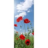 Textilbanner Mohnblumenfeld Wand-Deko Mohnblumen 100% Polyester Motivbanner