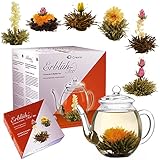 Creano Teeblumen Mix - Geschenkset ErblühTee mit Glaskanne 500ml Weißtee & Schwarztee mit 6 Teekugeln je 3x weißer & schwarzer Tee - 7 teilig