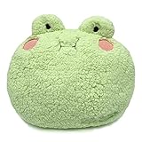 Frosch Kuscheltier Plüsch Kissen Sofakissen Kawaii Flauschiges Dekokissen, Jungen Mädchen & Babys I 35 x 27 cm