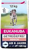 Eukanuba Hundefutter getreidefrei mit Fisch für große Rassen - Trockenfutter für Senior Hunde, 12 kg