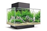 Fluval Edge 2.0 Nano Aquarium, 23L, schwarz, 1 Stück (1er Pack)