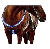 LMEIL LED-Pferdegeschirr, High Visibility Tack for Horseback Riding Adjustable Safety Gear, für dunkle Umgebungen, Outdoor und Reitsport