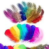 Audamp Bunte Federn 300 Stück Indianer Feder bunt Feder Handwerk zum Basteln für DIY Ohrring, Hochzeit, Traumfänger, Kopfschmucksfedern